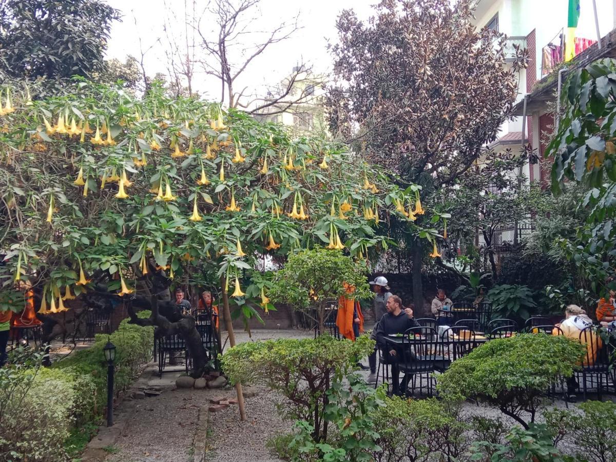 Hotel Lotus Garden Katmandú Exterior foto